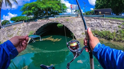 The Weirdest Place I've Ever Fished in my Entire Life