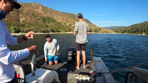 Striper at Silverwood Lake