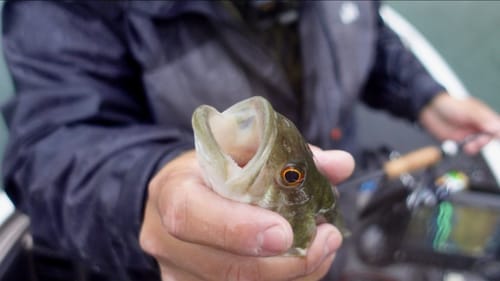 Catching 'Em In The Rain | Teaching My Brother How To Catch A Bass