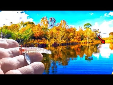 Let Me Show You How To Catch Huge Crappie Easy On Your Lake