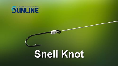 Snell Knot- top knot choice for punching or flipping rigs