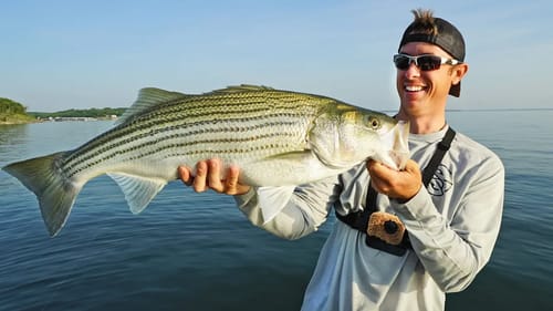 HUGE Striped Bass on Bass Rod - NEW PB!