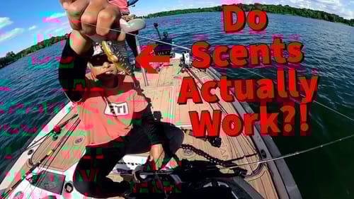 Does Scent Actually Make a Difference in Bass Fishing?  @OliverNgy & Jeremy Pratt