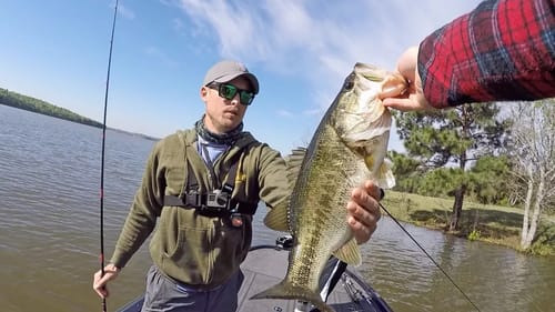 Fresh Spring Bass Beyond Flooded Grass