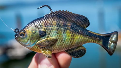 Cheap Lures That Actually Work! Save Money and Catch Fish!!