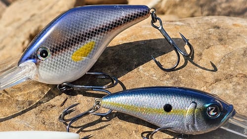 Summer Bass Fishing: Crankbait VS UnderSpin!