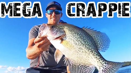 Catching MONSTER CRAPPIE In The FALL!! (EASY)