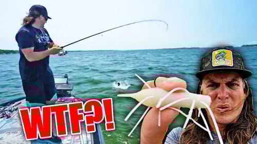 I should have NEVER Slept on This Bizarre Lure...