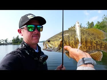 71 BASS ON TOPWATER! Dream Day Fishing Rainy Lake!