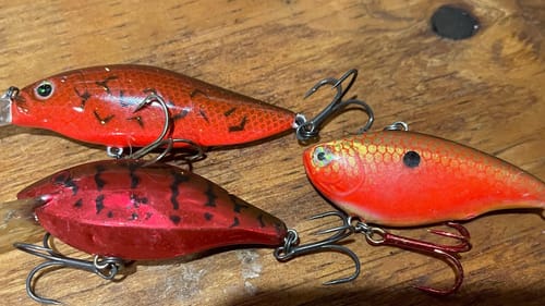 Red Is Not The Best Prespawn Color…(Find Out What Is)
