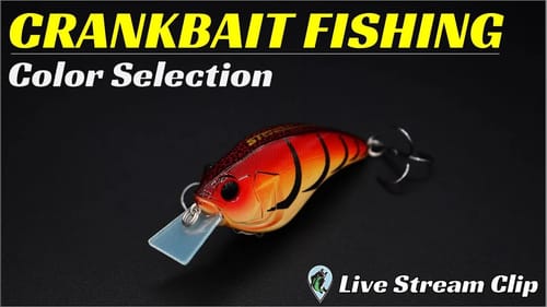 Crankbait Color Selection Made Easy! | FTM Live Stream #73
