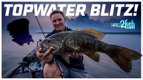 Topwater Tips for Smallmouth Bass in Calm Water