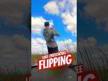 BOAT FLIP ONLY‼️ Lake Okeechobee MLF Toyota Series #short #bassfishing #flipping