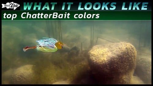 ChatterBait Blade Colors | What it Looks Like Underwater