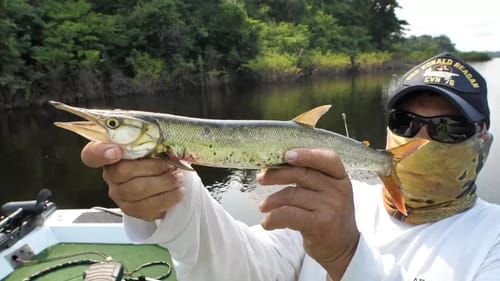 Catching New Fish Species | Fishing Peacock Bass in the Amazon pt 5