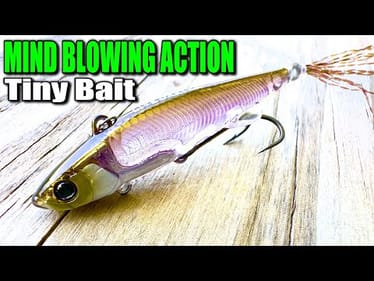 The New Tiny Japanese Bait That’s Blowing My Mind