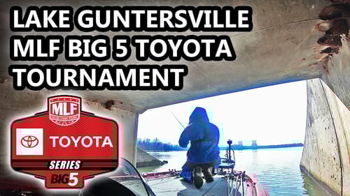 MLF BIG 5 TOYOTA TOURNAMENT! FISHING FOR $50,000! (LAKE GUNTERSVILLE)
