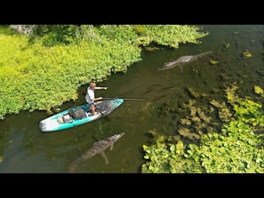 Fishing Alligator Infested SWAMP For BIG BASS! (New PB)