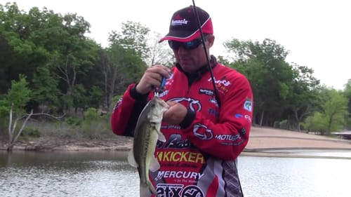 Find Fish on Shallow Crankbaits