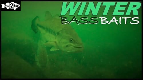 6 Proven Winter Bass Baits for Most Situations
