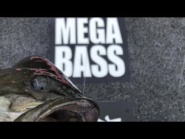 My Top 5 Lures I Can’t Fish Without