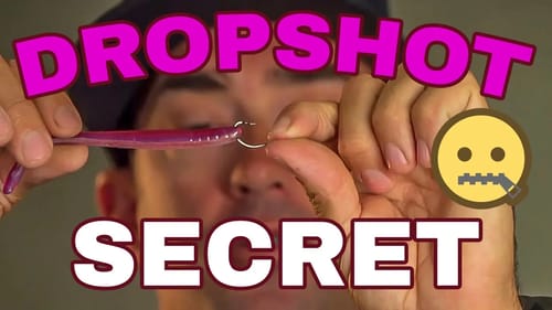 One BIG DROPSHOT Rig Bass Fishing SECRET