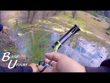 My FIRST Time Bowfishing for Carp
