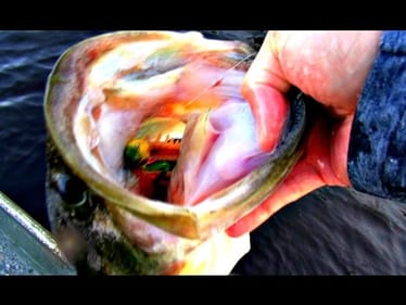 Giant Bass Caught on a Tiny Frog using Spinning Gear and 8 lb. Test Line