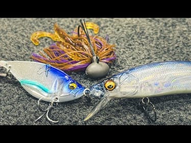 Where Do Bass Go In Winter? (And Our Top Baits To Catch Them)