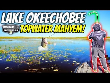 Fishing ONLY FROGS in a Pro Fishing Tournament!! Lake Okeechobee Topwater Insanity!