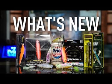 Whats New This Week!  Megabass Respect, Limited Edition Topwater, Bulk Bundles and more!