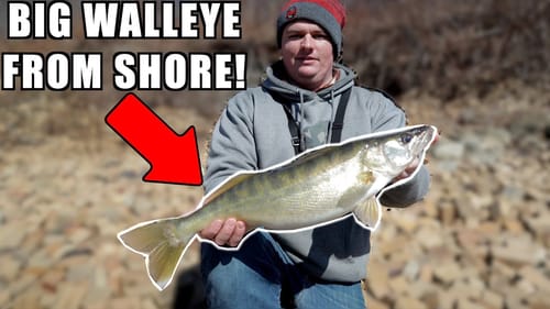 Spring Ohio River Walleye Fishing from SHORE!
