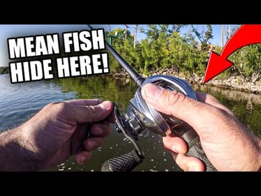 Catching MEAN River Fish (NOT a PB & NO Cops Called...)