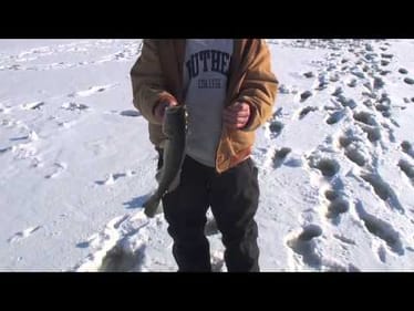 March Bass Through The Ice: Jigging for Largemouth