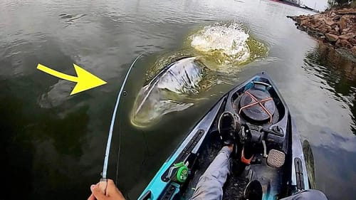 It MIGHT be TOO BIG to CATCH!!