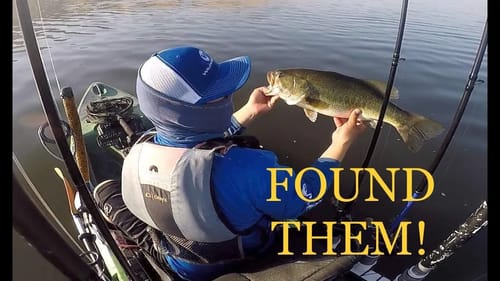 Kayak Tournament on Lake Success