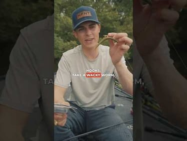 Which Wacky Hook Is Right?