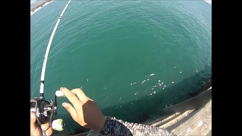 Jigging for Mackerel