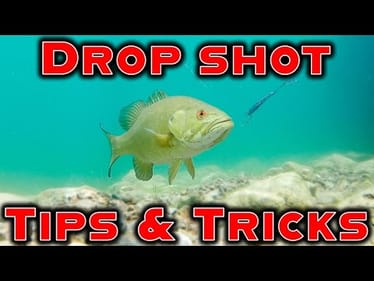 Dropshot Tricks For Hot Summer Fishing! (Beginner To Advanced)