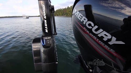 Rigging Multi Species Boats with New Technologies for Fishing