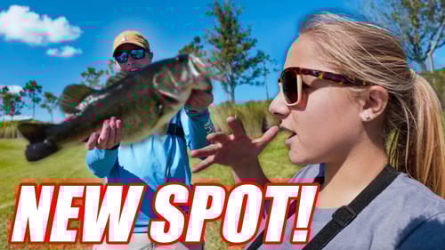 BIG BASS in a NEW SPOT!