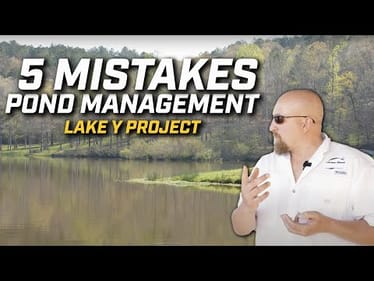 5 MISTAKES when it comes to Pond Management