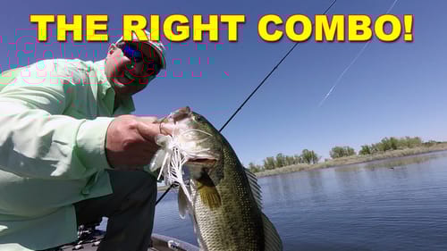 How To Choose A Combo: Chatterbaits (Rod, Reel, & Line) | How To | Bass Fishing