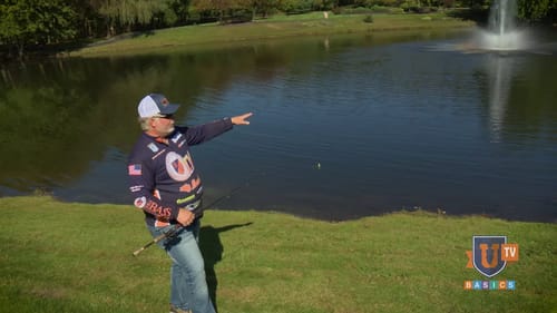 Who Needs a BOAT? Bass Fishing PONDS from the BANK