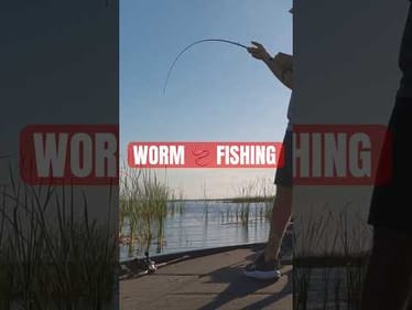 Worm 🪱 Fishing Lake Okeechobee #short #bassfishing #boatfliponly