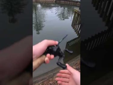 Fishing amusement park pond loaded w/ bass! #shorts