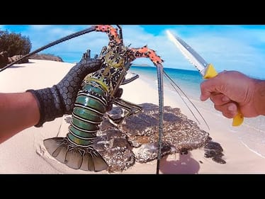 Solo Camping An Uninhabited Island - Coastal Foraging A Seafood Feast - Part 2