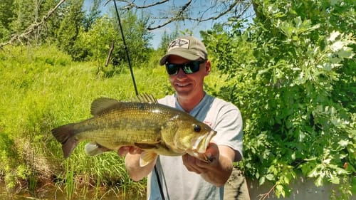 Why Bank Fish Bass off the Beaten Path