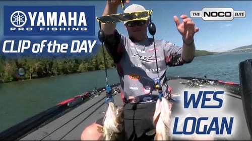 Yamaha Clip of the Day - Wes Logan's critical cull to take the lead on Day 3