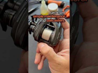 Simple Baitcaster Maintenance: Bearings and Worm Gear #fishing